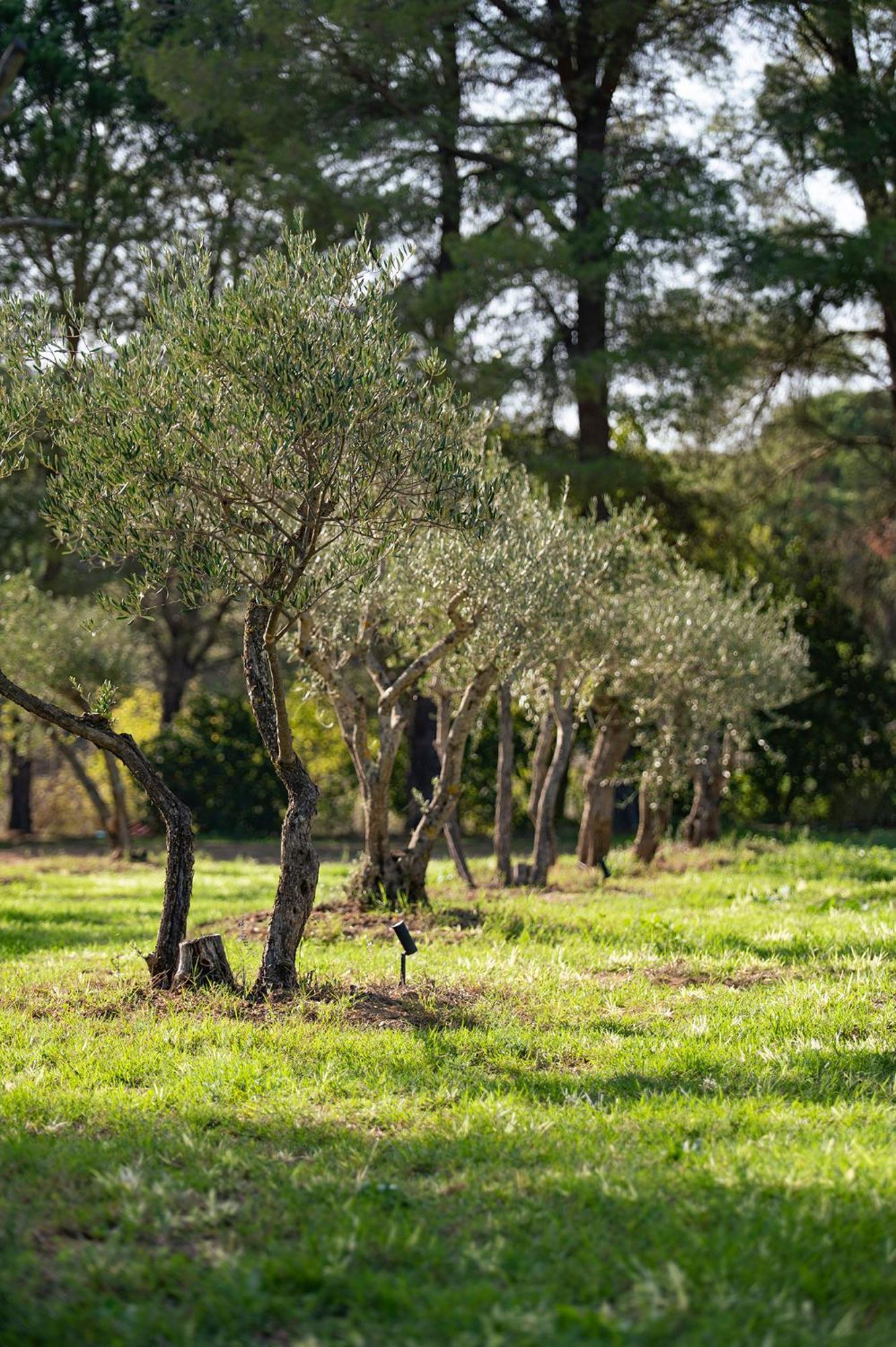 Le Clos De Mansart Grimaud Exteriör bild